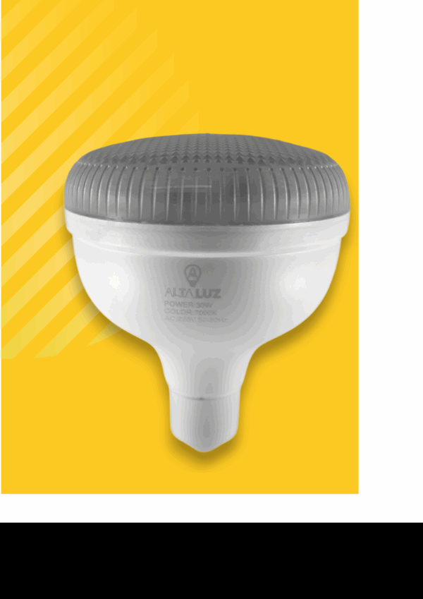 Bombillos Led - TAPA PLANA - 30w